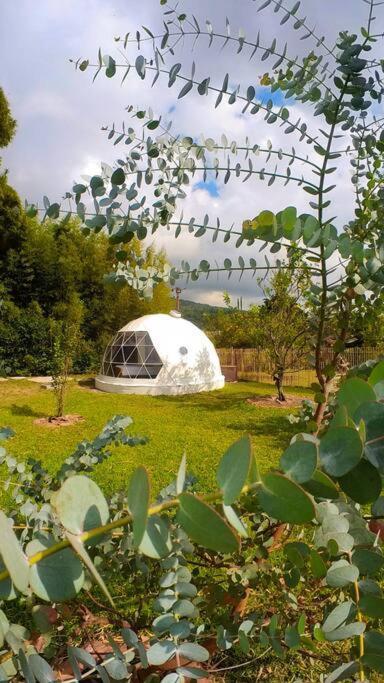 דירות Dome In The Heart Of Boquete. מראה חיצוני תמונה