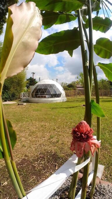 דירות Dome In The Heart Of Boquete. מראה חיצוני תמונה