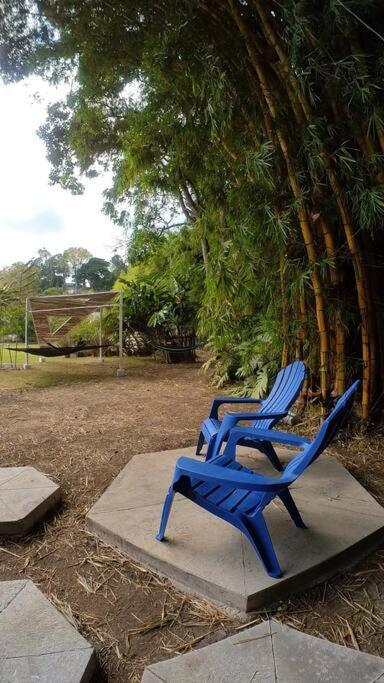 דירות Dome In The Heart Of Boquete. מראה חיצוני תמונה